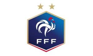 法国杯骚乱处理结果:巴黎FC和里昂双双直接淘汰出局